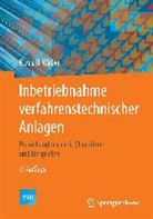 Klaus H Weber, Klaus H. Weber - Inbetriebnahme verfahrenstechnischer Anlagen