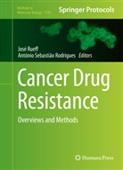 Antonio Sebastiao Rodrigues, Antonio Sebastião Rodrigues, António Sebastião Rodrigues, Jos Rueff, Jose Rueff, Sebastião Rodrigues... - Cancer Drug Resistance