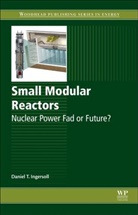 Daniel T Ingersoll, Daniel Ingersoll, Daniel T Ingersoll, Daniel T. Ingersoll - Small Modular Reactors