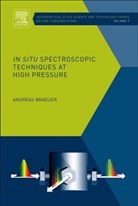 Andreas Braeuer, Braeuer Andreas - In Situ Spectroscopic Techniques At High Pressure