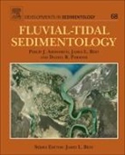 Philip Ashworth, Philip J. Ashworth - Fluvial-Tidal Sedimentology
