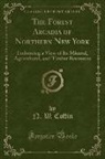 N. W. Coffin - The Forest Arcadia of Northern New York