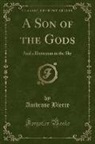 Ambrose Bierce - A Son of the Gods