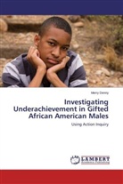 Merry Denny - Investigating Underachievement in Gifted African American Males