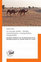 Stéphane Valter - Le monde arabe : révolte, autoritarisme, manipulation, marginalité