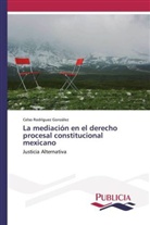 Celso Rodríguez González - La mediación en el derecho procesal constitucional mexicano