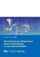 Christian Mühlenfeld - Herstellung fester Dispersionen durch Covermahlung in einer Luftstrahlmühle