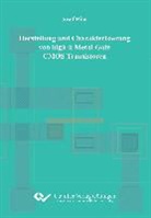 Josef Biba - Herstellung und Charakterisierung von high-k Metal-Gate CMOS Transistoren
