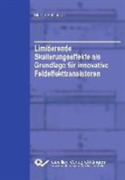 Martin Schlosser - Limitierende Skalierungseffekte als Grundlage für innovative Feldeffekttransistoren