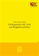 Hans-Günter Triebel - Gefahrgutrecht inkl. Straf- und Bußgeldvorschriften