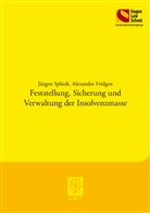 Alexander Fridgen, Jürgen Spliedt - Feststellung, Sicherung und Verwaltung der Insolvenzmasse