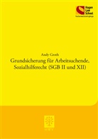 Andy Groth - Grundsicherung für Arbeitsuchende, Sozialhilferecht (SGB II und XII)