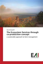 Sara Antognelli - The Ecosystem Services through co-production concept