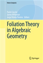 Paolo Cascini, Jame McKernan, James McKernan, Jorge V. Pereira, Jorge Vitório Pereira, Jorge Vitório Pereira - Foliation Theory in Algebraic Geometry
