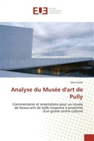 Sara Terrier - Analyse du Musée d'art de Pully