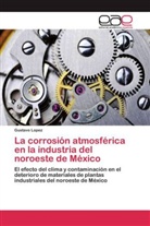 Gustavo Lopez - La corrosión atmosférica en la industria del noroeste de México
