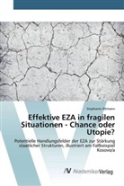 Stephanie Altmann - Effektive EZA in fragilen Situationen - Chance oder Utopie?
