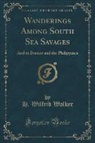 H. Wilfrid Walker - Wanderings Among South Sea Savages