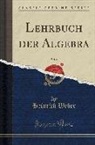 Heinrich Weber - Lehrbuch der Algebra, Vol. 1 (Classic Reprint)