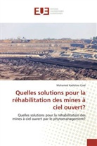 Mohamed Kadiatou Cissé - Quelles solutions pour la réhabilitation des mines à ciel ouvert?