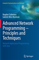 Bogda Ciubotaru, Bogdan Ciubotaru, Gabriel-Miro Muntean - Advanced Network Programming - Principles and Techniques