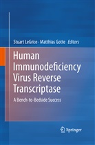 Gotte, Gotte, Matthias Gotte, Stuar LeGrice, Stuart LeGrice, Stuart F. J. LeGrice - Human Immunodeficiency Virus Reverse Transcriptase