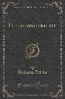 Andreas Latzko - Friedensgericht (Classic Reprint)