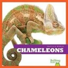 Cari Meister - Chameleons