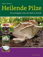 Jürgen Guthmann - Heilende Pilze