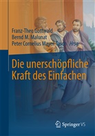 Peter Cornelius Mayer-Tasch, Franz-Theo Gottwald, Bern M Malunat, Bernd M Malunat, Bernd M. Malunat, Peter Cornelius Mayer-Tasch - Die unerschöpfliche Kraft des Einfachen