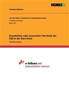 Artemiy Batanov - Brandstifter oder Feuerwehr? Die Rolle der EZB in der Euro-Krise