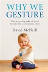 David Mcneill, David (University of Chicago) McNeill, McNeill David - Why We Gesture