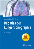 Gebhar Mathis, Gebhard Mathis - Bildatlas der Lungensonographie