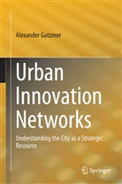 Alexander Gutzmer - Urban Innovation Networks