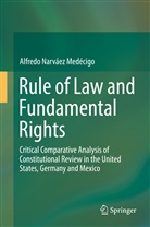 Alfredo Narváez Medécigo - Rule of Law and Fundamental Rights