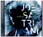 Joe Satriani - Shockwave Supernova, 1 Audio-CD (Audio book)