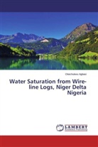 Okechukwu Agbasi - Water Saturation from Wire-line Logs, Niger Delta Nigeria