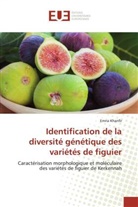 Emna Khanfir - Identification de la diversité génétique des variétés de figuier