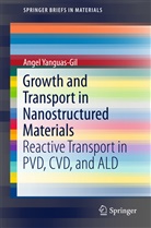 Angel Yanguas-Gil - Growth and Transport in Nanostructured Materials