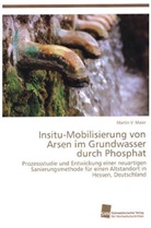 Martin V Maier, Martin V. Maier - Insitu-Mobilisierung von Arsen im Grundwasser durch Phosphat