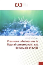 Antoine de Padou Nsegbe - Pressions urbaines sur le littoral camerounais: cas de Douala et Kribi