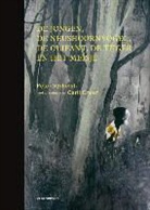 Peter Verhelst, Carll Cneut - De jongen, de neushoornvogel, de olifant, de tijger en het meisje