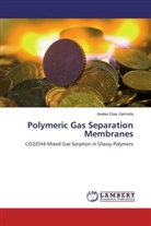 Aweke Elias Gemeda - Polymeric Gas Separation Membranes