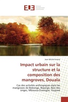 Jean Michel Emane - Impact urbain sur la structure et la composition des mangroves, Douala