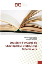 Yahi Chebouti, Yahia Chebouti, Nadjib Chebouti-Meziou, Nadjiba Chebouti-Meziou, Doumandji, Salahedine Doumandji - Stratégie d'attaque de Chaetoptelius vestitus sur Pistacia vera