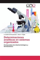 A Guillerm Bracamonte, A Guillermo Bracamonte, A. Guillermo Bracamonte, Alicia V Veglia, Alicia V. Veglia - Determinaciones analíticas en sistemas organizados
