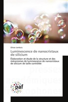 Olivier Jambois - Luminescence de nanocristaux de silicium