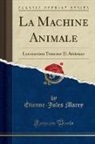 Etienne-Jules Marey, Étienne-Jules Marey - La Machine Animale
