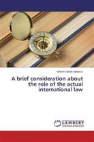 Valentin-Stelian B¿descu, Valentin-Stelian Badescu - A brief consideration about the role of the actual international law