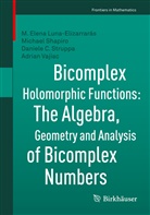 M Elen Luna-Elizarrarás, M Elena Luna-Elizarrarás, M. Elena Luna-Elizarrarás, Michae Shapiro, Michael Shapiro, Struppa... - Bicomplex Holomorphic Functions